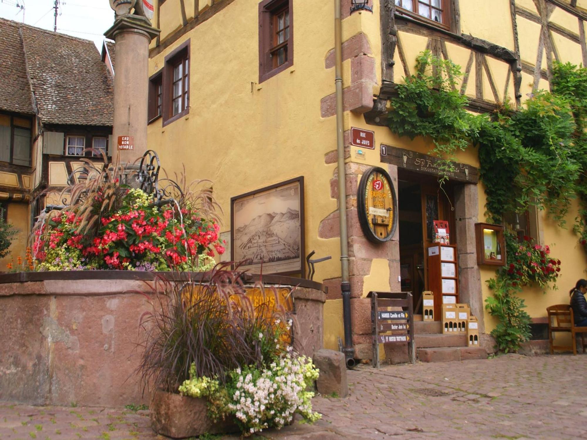 An Apartment In A 17Th Century Wine Grower S House Рикевір Екстер'єр фото